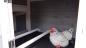 Preview: Hühnerstall 3 -4 Hühner Niels Kunststoff Dach und Auslauf